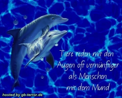 Spruch Gaestebuchbild