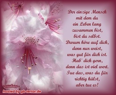 Spruch Gaestebuchpic