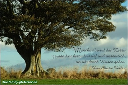 Sprueche Gaestebuch Bild