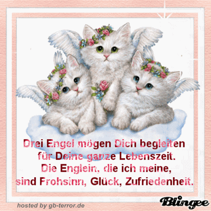 Sprueche Gaestebuch Bild