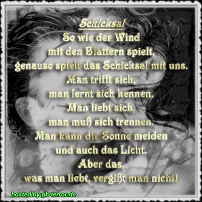 Sprüche Gästebuch Bild