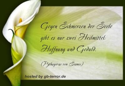 Sprueche Gaestebucheintrag