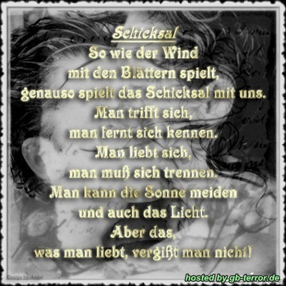 Sprüche Gaestebucheintrag