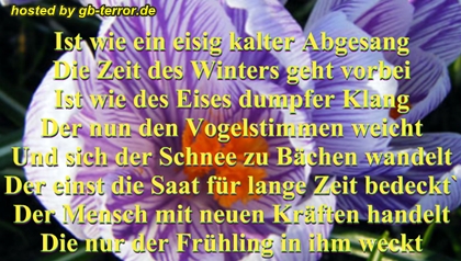 Spruch-Gaestebuchpic