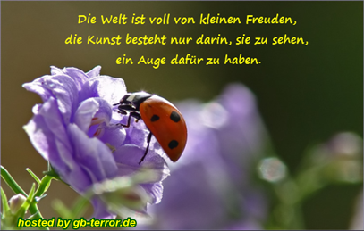 Spruch-GB Pic