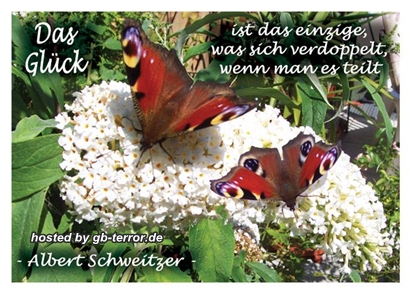 Spruch-GBPic