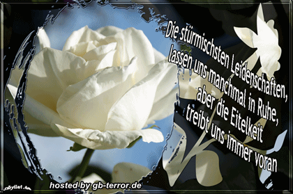 Sprüche GBBild