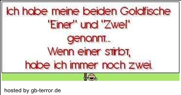 Lustiger GB Spruch Pic