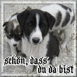 Willkommen GB Eintrag