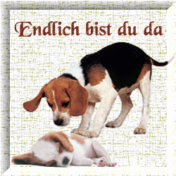 Willkommen GB Eintrag