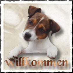 Willkommen GB Eintrag