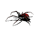 Animiertes GB Bild Spinne