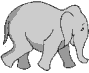 Animiertes GB Bild Elefant