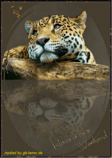 Gaestebuch Bild Wochenend Gruß