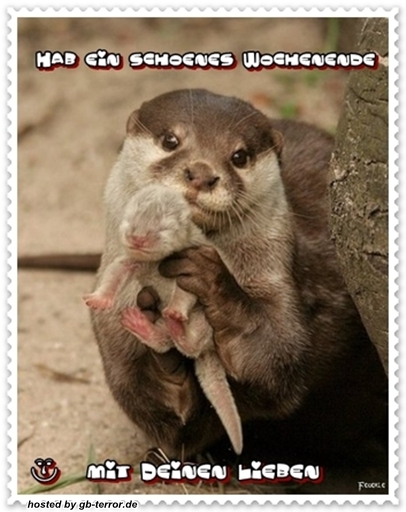 Gästebuchbild Schönes Wochenende