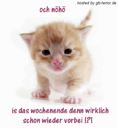 Gaestebucheintrag Wochenendgrüße