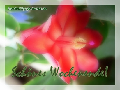 GB-Bild Wochenendgruß