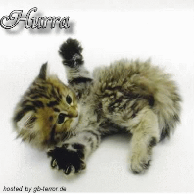 GB Bild Wochenend Gruesse