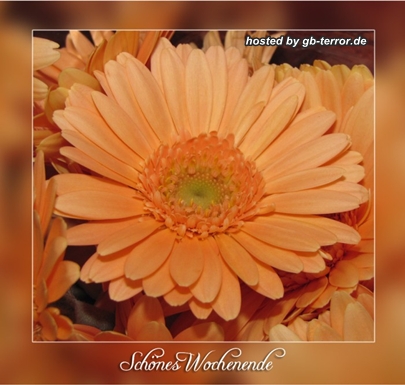 Wochenend Gruss Gästebuchbild