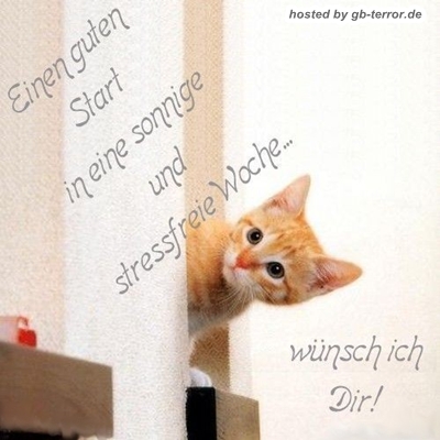 Gästebuch Bild Wochenanfang