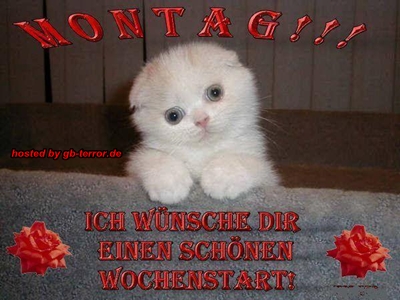 Gästebuch Bild Wochenanfang