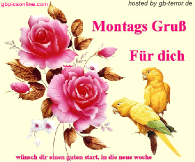 Wochenanfang Gästebuch Bild