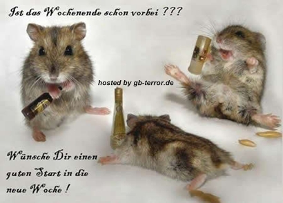 Wochenbeginn Gästebuch Bild