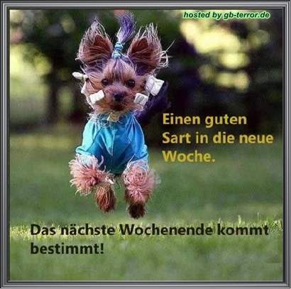 Wochenbeginn Gästebucheintrag