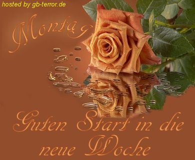 Wochenstart Gaestebuch Bild