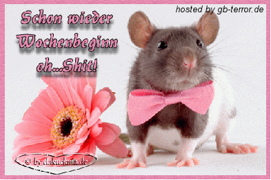 Wochenstart Gaestebuchbild