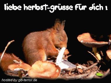 Gaestebuch Bild Herbst