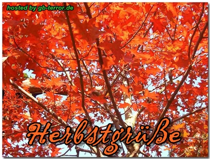 Herbst Gaestebuch Pic