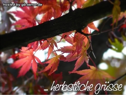 Herbst Gaestebuchbild