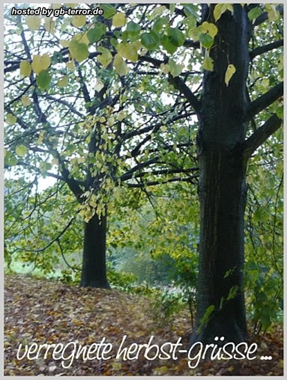 Herbst Gaestebuchbild