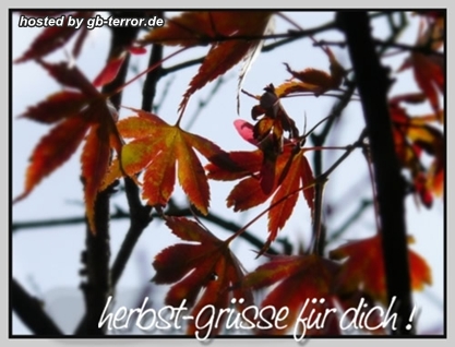 Herbst Gaestebucheintrag