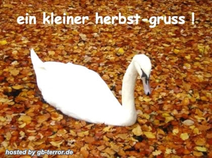 Herbst GB Bild