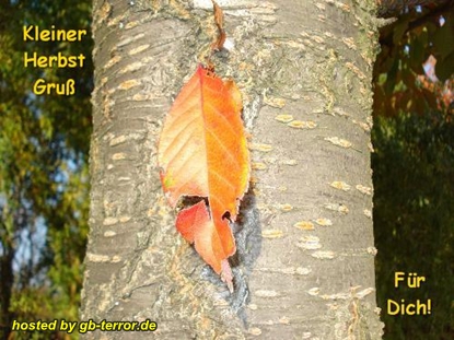 Herbst GBBild