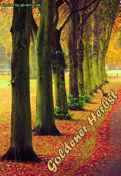 Herbstgruesse Gaestebuch Eintrag