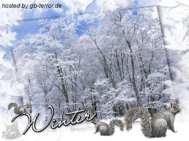 Gästebuch Pic Winter