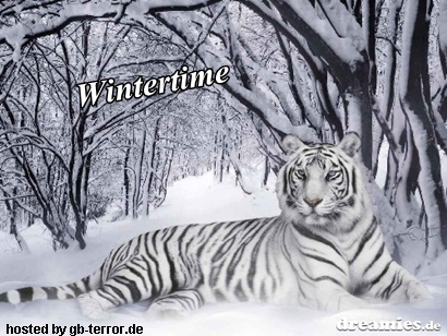 Winter Gästebuch Bild