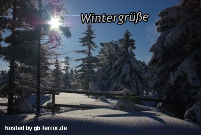 Winter Gaestebuch Bild
