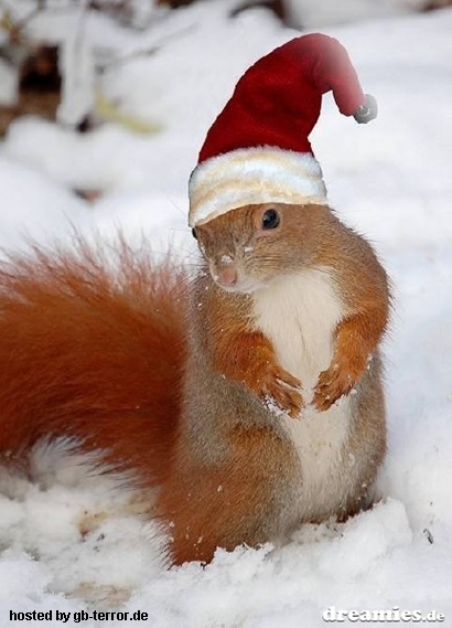 Winter Gästebuch Eintrag