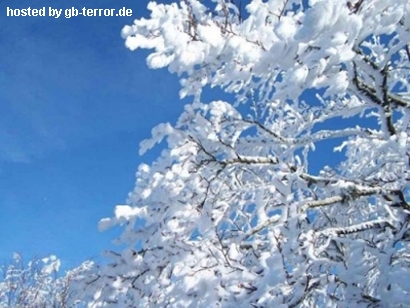 Winter Gaestebuchbild