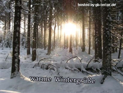 Winter Gaestebuchbild