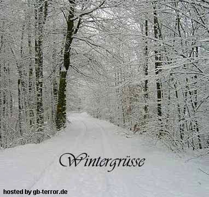 Winter Bild