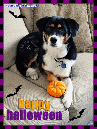 Gaestebuchbild Halloween Gruesse