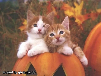 GB Pic Halloween Grüsse