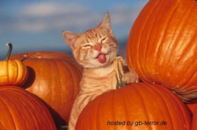 Halloween Gaestebuch Pic