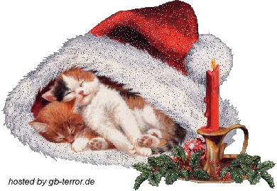 Erster Advent Gaestebuchbild