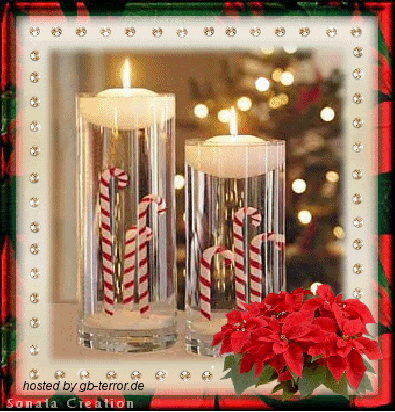 2. Advent Gästebuchbild